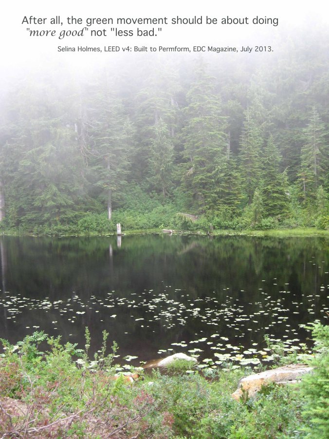 After all, the green building movement should be about doing “more good” not “less bad.” ~ Selina Holmes, LEED v4: Built to Perform, ECD Magazine, July Edition. Image by Heather Button