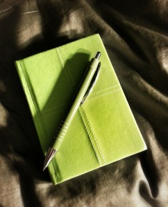 Journal - an ongoing letter to myself