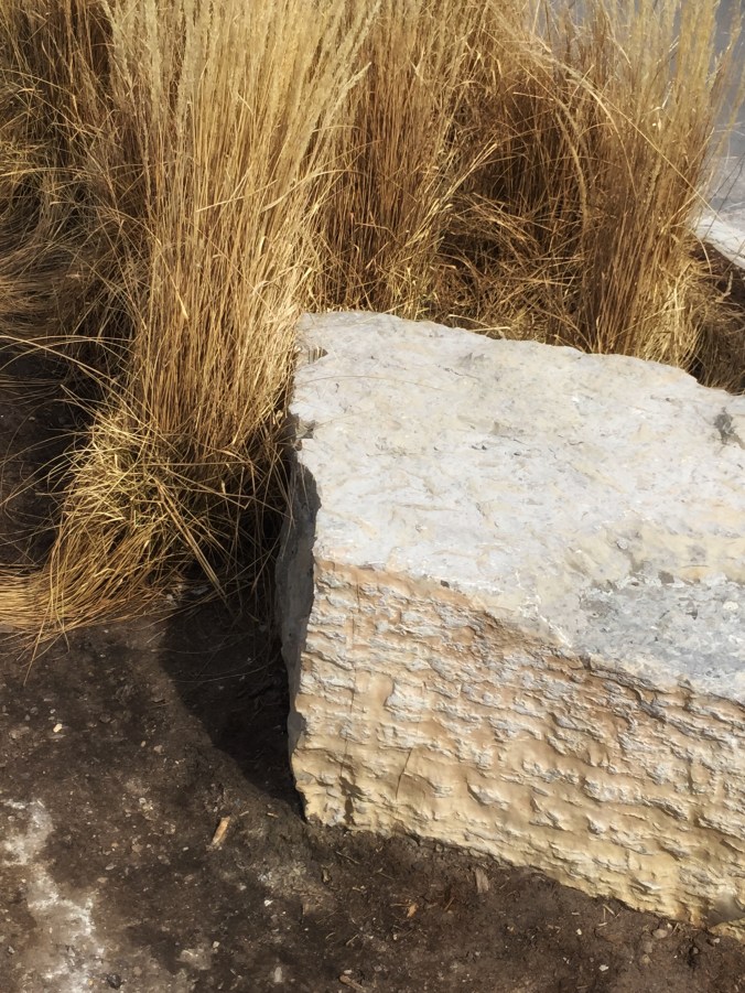 Dead Landscape. Image by Heather Button. Copyright © http://atomic-temporary-30814180.wpcomstaging.com